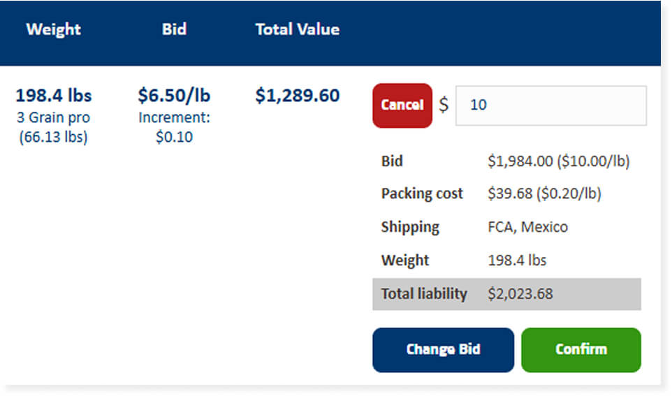 How do I place a bid during the auction?