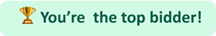 You currently have the highest bid on this lot.