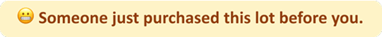 Another bidder placed the highest bid and won the lot.